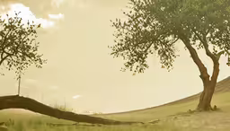 the giraffe is standing next to some trees in the wild,the zebra is standing near two trees on the hill