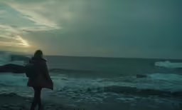 a person is standing on the shore watching the waves
