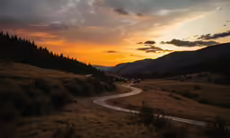 a road leading to the mountains with trees on either side