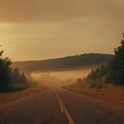 an empty road with trees in the distance