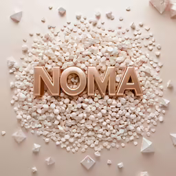 the word noma spelled with letters and small pieces of rocks