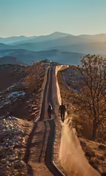 some people and trees on a hill road
