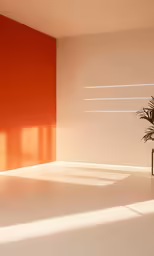 a room with a potted plant in it