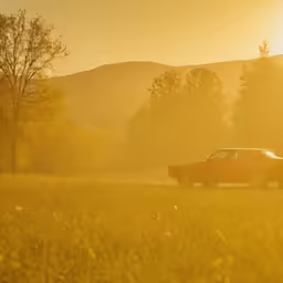 a red car driving across a lush green field