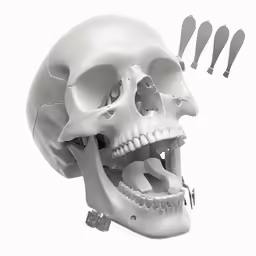 a human skull with multiple knives sticking out from it
