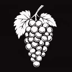 a black and white drawing of grapes on a black background