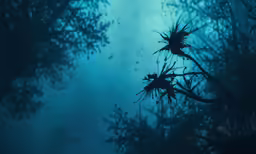 a photo of some blue water through a tree