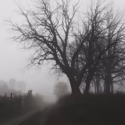 fog rolling in to the country side, a road running through it