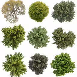 many different types of trees and shrubs