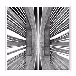 a white frame is shown with a photo in the middle