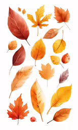 the autumn leaf collection is a colorful arrangement