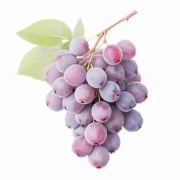 grapes with leaves sitting on top of it