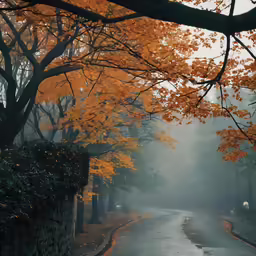 a foggy tree lined road with autumn leaves