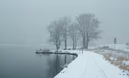 snow covered path leading to a small lake
