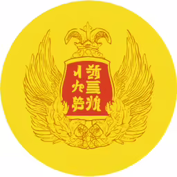 a badge with chinese writing in gold and red