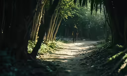 the person on their bicycle is riding down a trail
