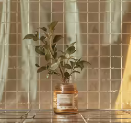 a jar with a plant sitting inside of it