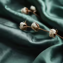 two white flowers that are on a green cloth