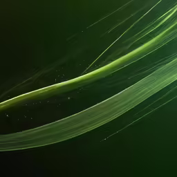 a long, glowing green line appears to be coming towards the camera