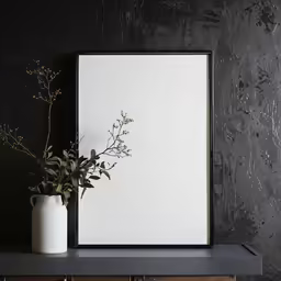 a plant with leafy leaves is seen by a frame on the mantle