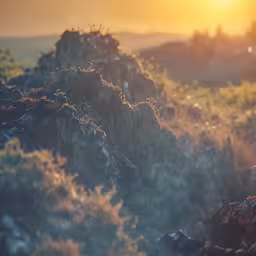 sun rising over the brush on a rocky hill