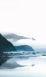 a person on a beach near the water