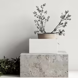 a plant in a pot is standing on concrete