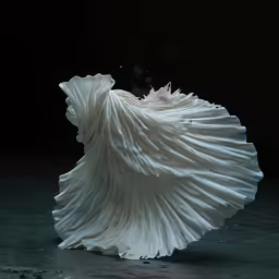 the image shows a white silk cloth blowing in the wind