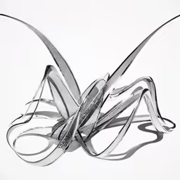 a black and white drawing of an insect