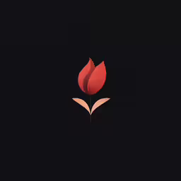 a red flower is displayed on black background