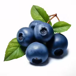 blue berries with leaves on white background