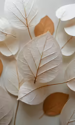 a white table covered in lots of leaf
