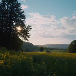 trees and yellow flowers in front of a blue sky