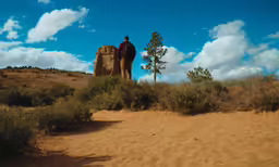 a person standing in the sand beside some rocks and trees