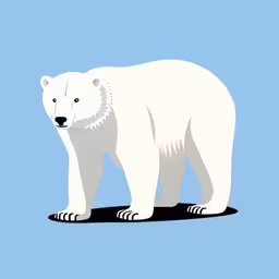 a white polar bear standing in the middle of a light blue background,polar bear standing alone on the ground in blue sky,a white polar bear is standing on the ground,an polar bear standing in the sand on blue background,a large white polar bear standing up against a blue background