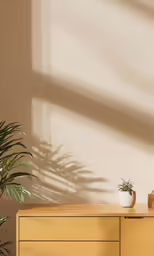 an indoor potted plant in front of the sun