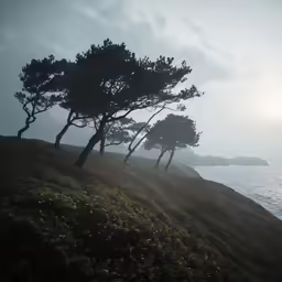 a bunch of trees that are standing in the grass