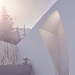 the house has a tall tree in it