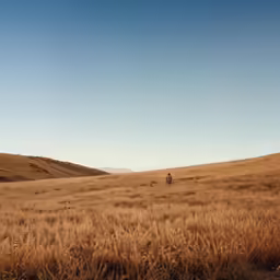 a lone person standing in a large grass covered field