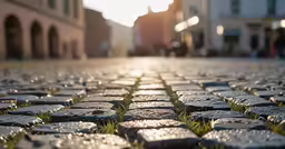 stone street with building on one side and grass in the middle