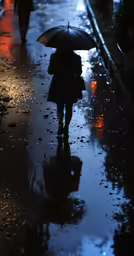the woman is carrying an umbrella walking down the street