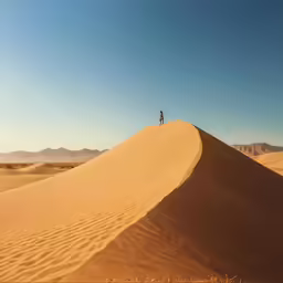 the sun shines on the desert sand dunes