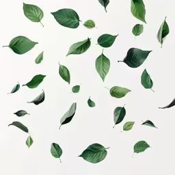 several green leaves falling into the air