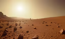 the person is on a very wide and very dusty beach