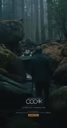 a man standing in a forest looking out at the woods