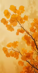 a tree with bright yellow leaves is featured in the background