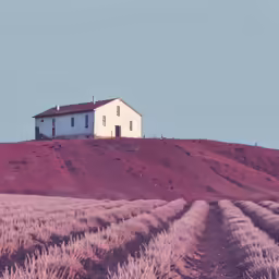 a house sitting on a hill in the country