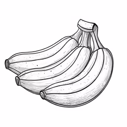 four ripe bananas hanging out side by side