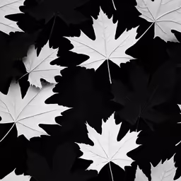 some very pretty looking white and black leaves