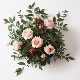 bouquet of roses against a white background with leaves